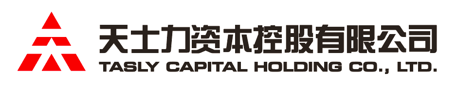 大红鹰dhy资本控股有限公司